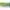 Terea Green Zing Iqos Illuma
